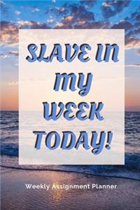 Slave in My Week Today!
