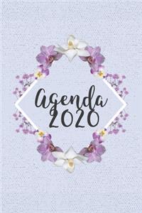 Agenda 2020