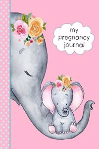 My Pregnancy Journal
