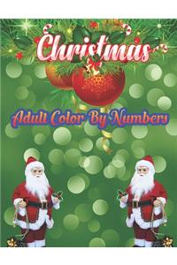 Christmas Adult Color By Numbers