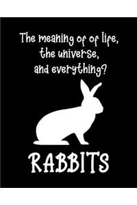 The Meaning of Life, The Universe, and Everything? Rabbits