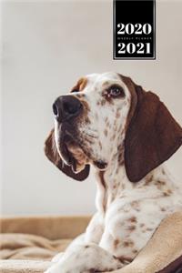 Great Dane Dog Calendar Week Planner 2020 / 2021 - Lying in the Basket