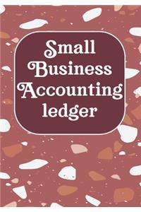 Small Business Accounting Ledger