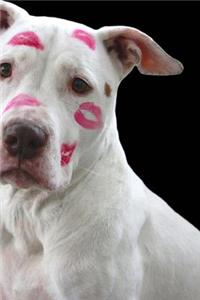 Pretty White Pit Bull Covered in Kisses Journal