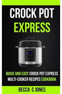 Crock Pot Express