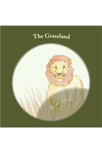 The Grassland