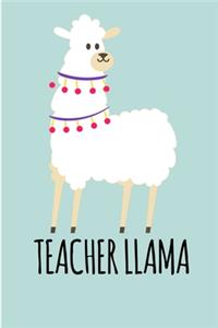 Teacher Llama