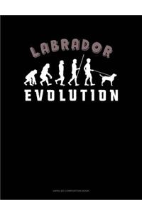 Labrador Evolution