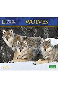 National Geographic Wolves 2018 Wall Calendar