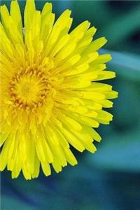 Dandelion Notebook