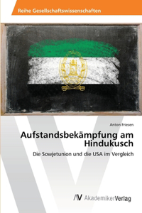 Aufstandsbekämpfung am Hindukusch