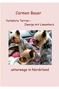 Yorkshire Terrier - Zwerge mit Löwenherz unterwegs in Nordirland