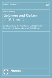 Gefahren Und Risiken Im Strafrecht