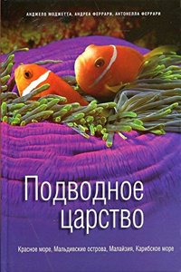 faith by which we live; a plain, practical exposition of the religion of the incarnate Lord