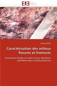 Caract�risation Des Milieux Fissur�s Et Fractur�s
