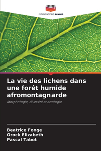 vie des lichens dans une forêt humide afromontagnarde