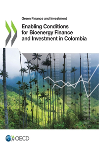 Green Finance and Investment Enabling Conditions for Bioenergy Finance and Investment in Colombia