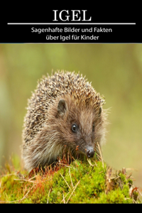 Igel