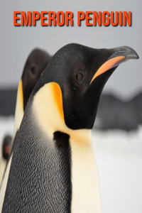 Emperor Penguin