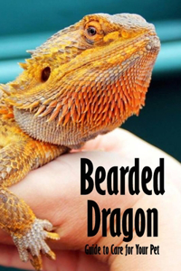 Bearded Dragon