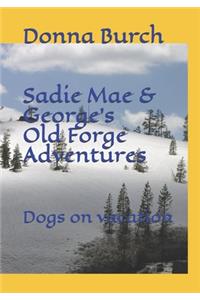 Sadie Mae and George's Old Forge Adventure