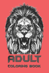 Adult Coloring Book