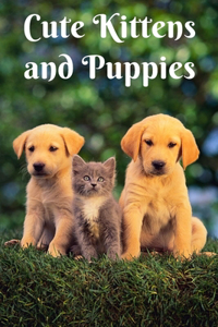 Cute Kittens and Puppies