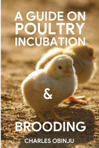 Guide into Poultry Incubation and Brooding