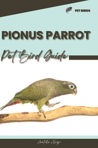 Pionus Parrot: Pet bird guide