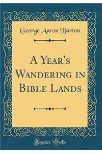 A Year's Wandering in Bible Lands (Classic Reprint)