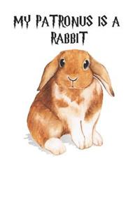 My Patronus Is A Rabbit