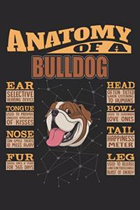 Anatomy Of A Bulldog