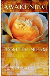 Awakening from the Dream