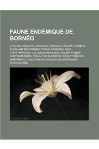 Faune Endemique de Borneo