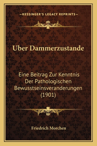 Uber Dammerzustande