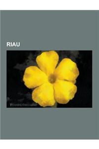 Riau: People from Riau, Populated Places in Riau, Regencies of Riau, Subdistricts of Riau, Bintan Island, Pekanbaru, Bagansi