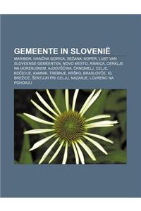 Gemeente in Slovenie