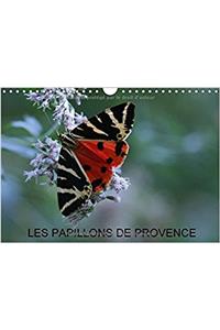 Papillons De Provence 2017