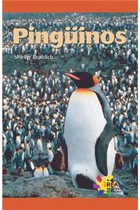 Pinguinos