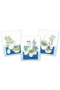Art Prints Succulents