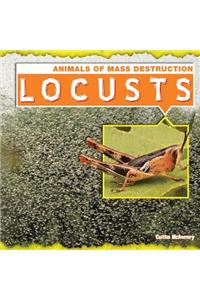 Locusts