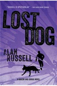 Lost Dog