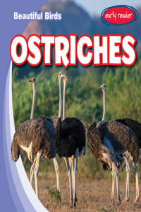 Ostriches