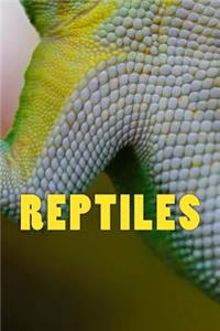 Reptiles