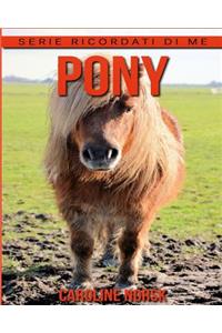 Pony