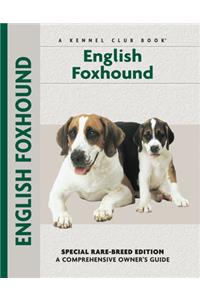 English Foxhound