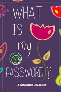 What Is My Password