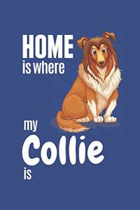 Home is where my Collie is