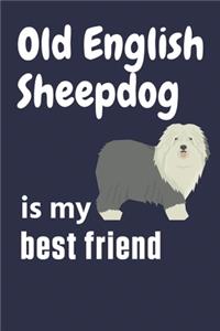 Old English Sheepdog is my best friend