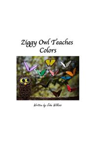 Ziggy Owl Teaches Colors